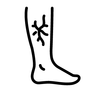 leg vein icon