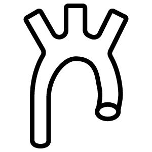 heart valve icon