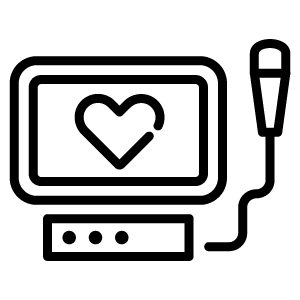 heart ultrasound icon