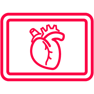 cardiac test coronary CT angiogram heart scan icon