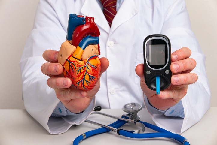 Doctor showing Anatomical model heart and glucometer in office hospital